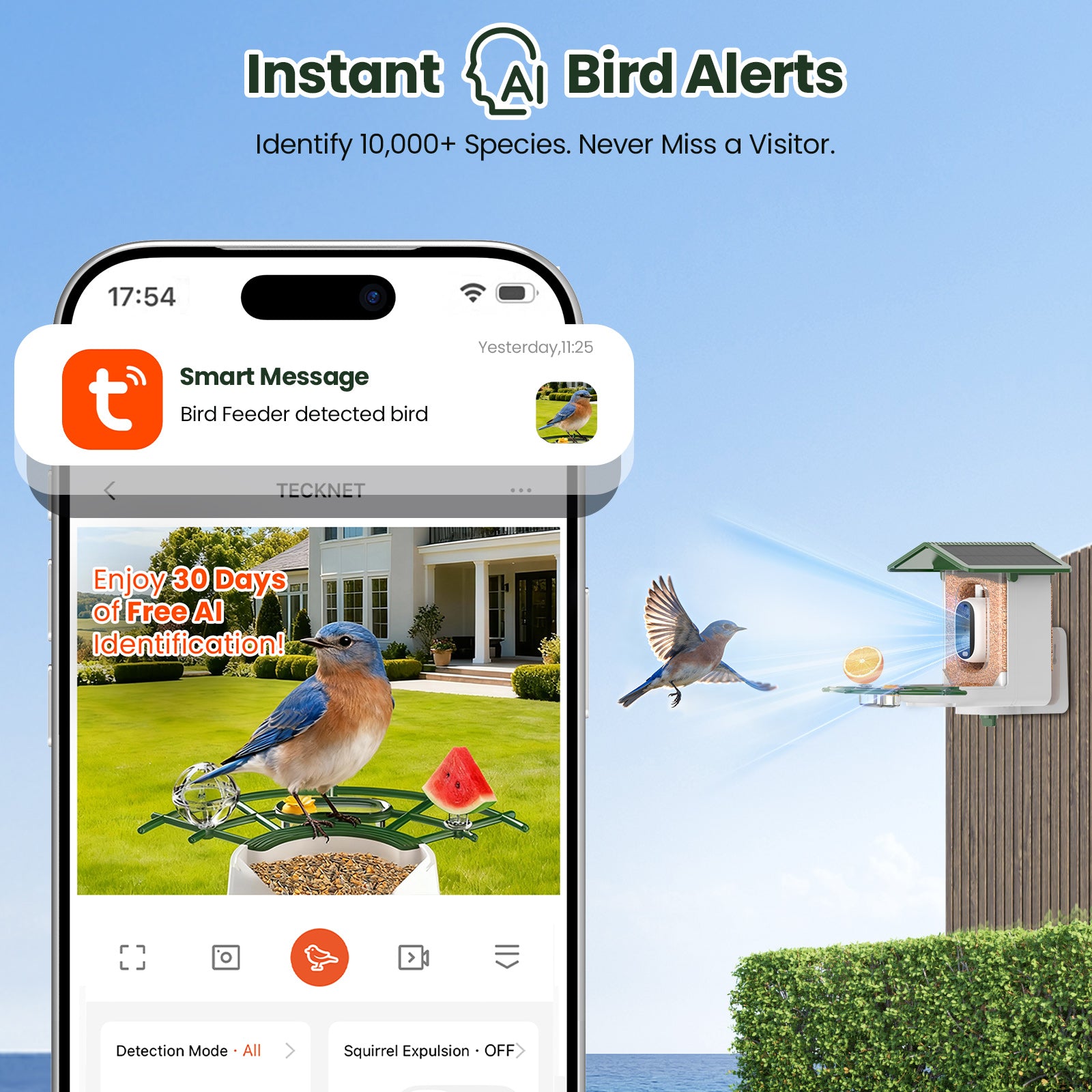 TECKNET BASICS Smart Bird Feeder with Camera, 2K UHD Video, AI Bird Species Identifier, Solar Powered Waterproof Birdhouse, Instant Bird Alerts, Gift for Bird Lovers, Green