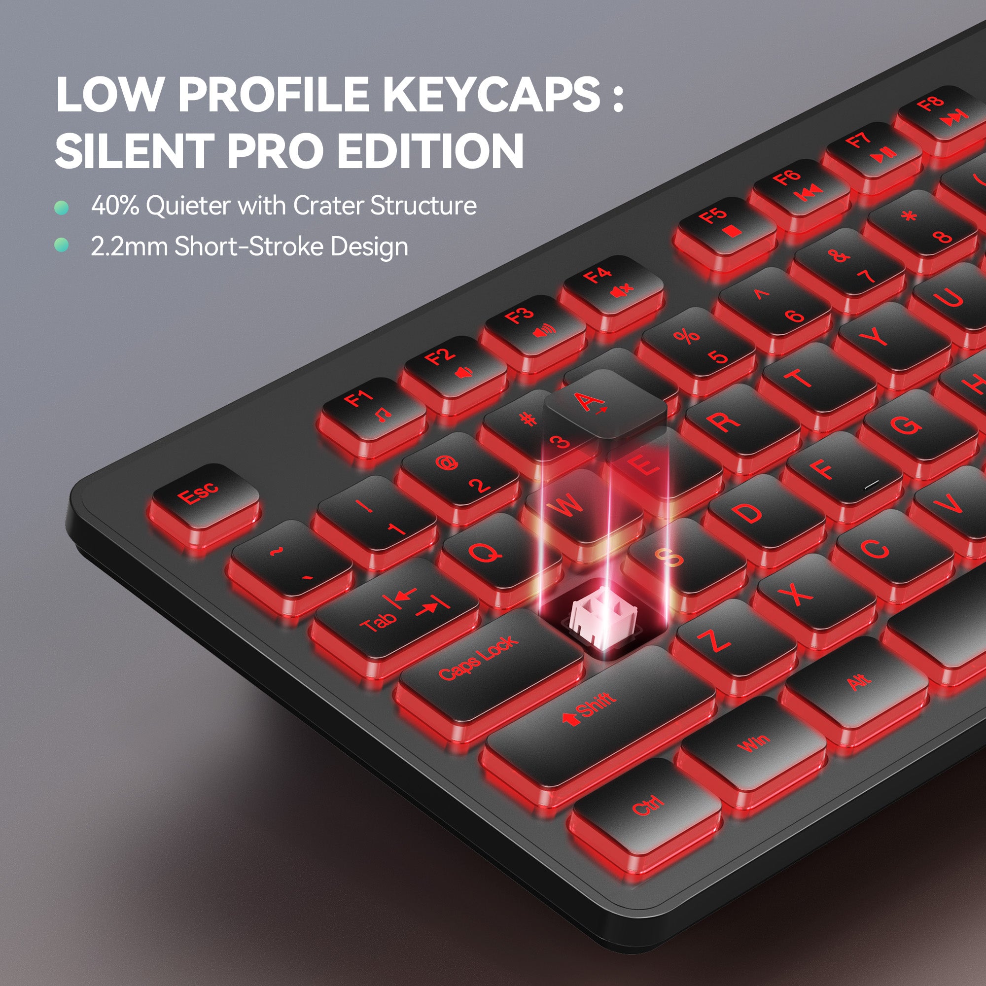 TECKNET Wired Keyboard,Silent USB Keyboard for Office,Spill-Resistant,Slim Full-Size Membrane Layout,Plug and Play for PC/Laptop/Mac-RGB Backlit
