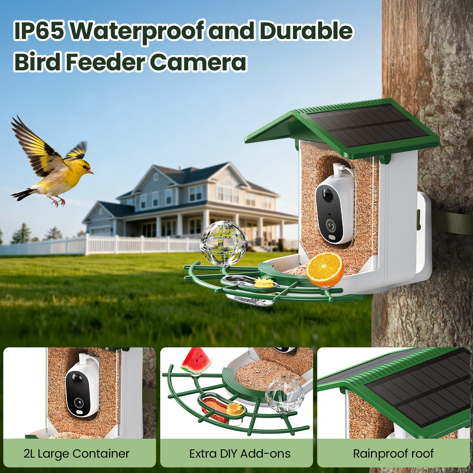 TECKNET BASICS Smart Bird Feeder with Camera, 2K UHD Video, AI Bird Species Identifier, Solar Powered Waterproof Birdhouse, Instant Bird Alerts, Gift for Bird Lovers, Green