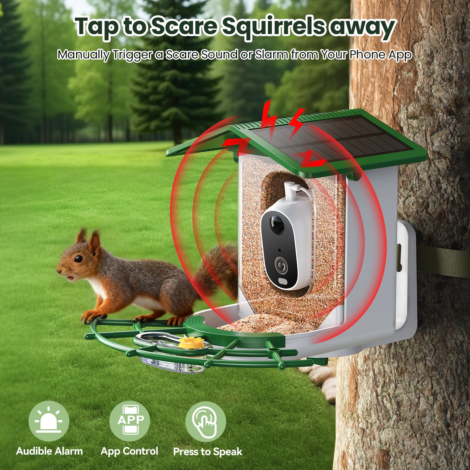 TECKNET BASICS Smart Bird Feeder with Camera, 2K UHD Video, AI Bird Species Identifier, Solar Powered Waterproof Birdhouse, Instant Bird Alerts, Gift for Bird Lovers, Green