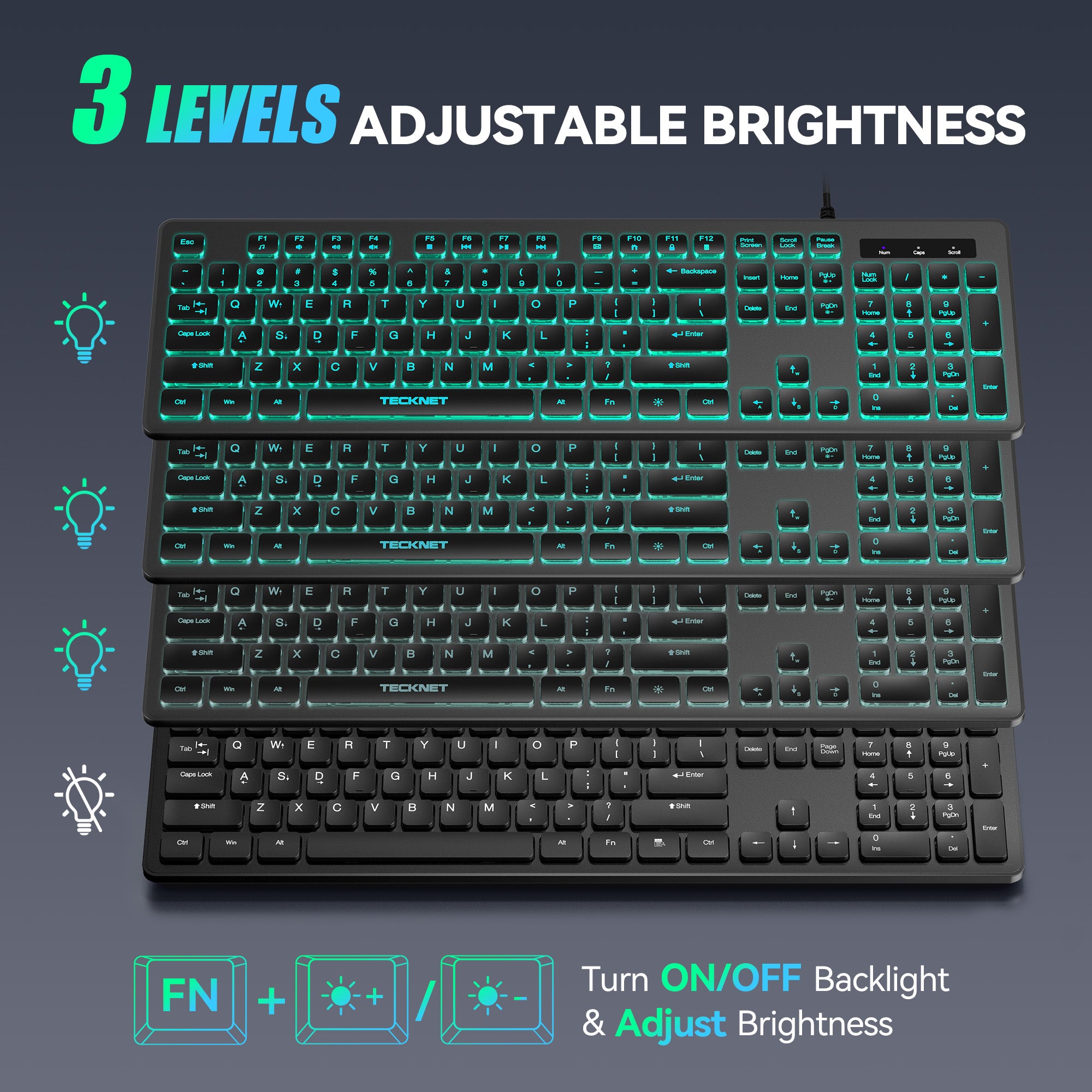 TECKNET Wired Keyboard,Silent USB Keyboard for Office,Spill-Resistant,Slim Full-Size Membrane Layout,Plug and Play for PC/Laptop/Mac-RGB Backlit