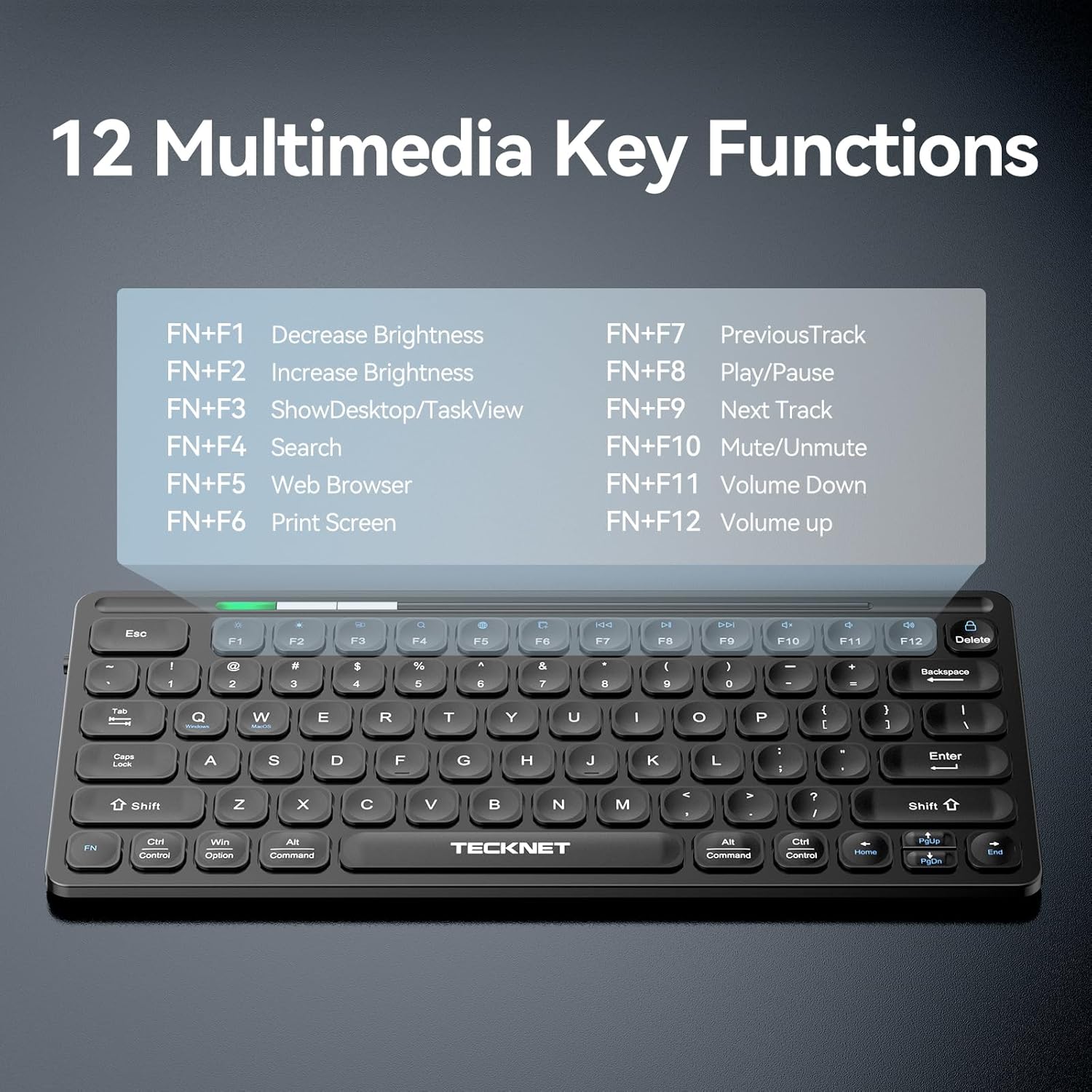 TECKNET 2.4G Wireless Keyboard with Media Hotkeys