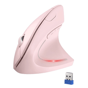 TECKNETTECKNET 2.4G Ergonomic Wireless Mouse With 4800 DPI