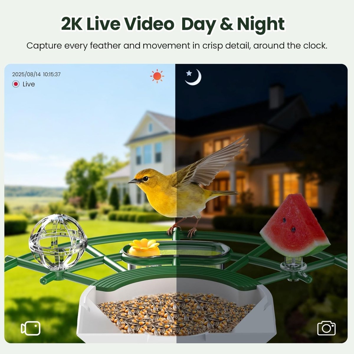 TECKNETTECKNET Smart Bird Feeder with Camera - [Color/Material] [Main Feature] for [Target Device/Scenario]