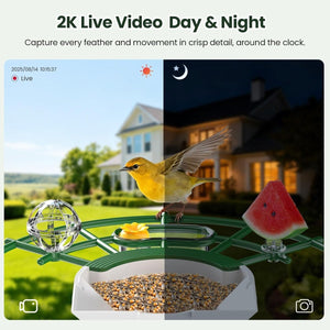 TECKNETTECKNET Smart Bird Feeder with Camera - [Color/Material] [Main Feature] for [Target Device/Scenario]